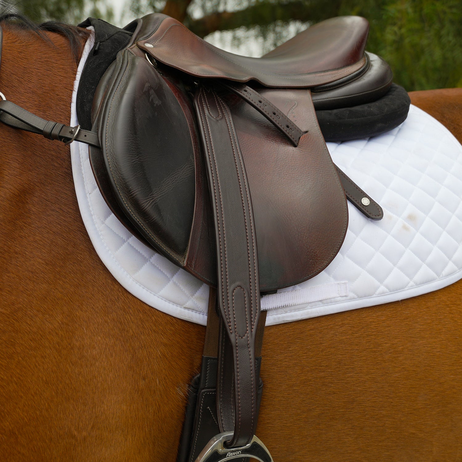 Stability+ Stirrup Leathers – Total Saddle Fit